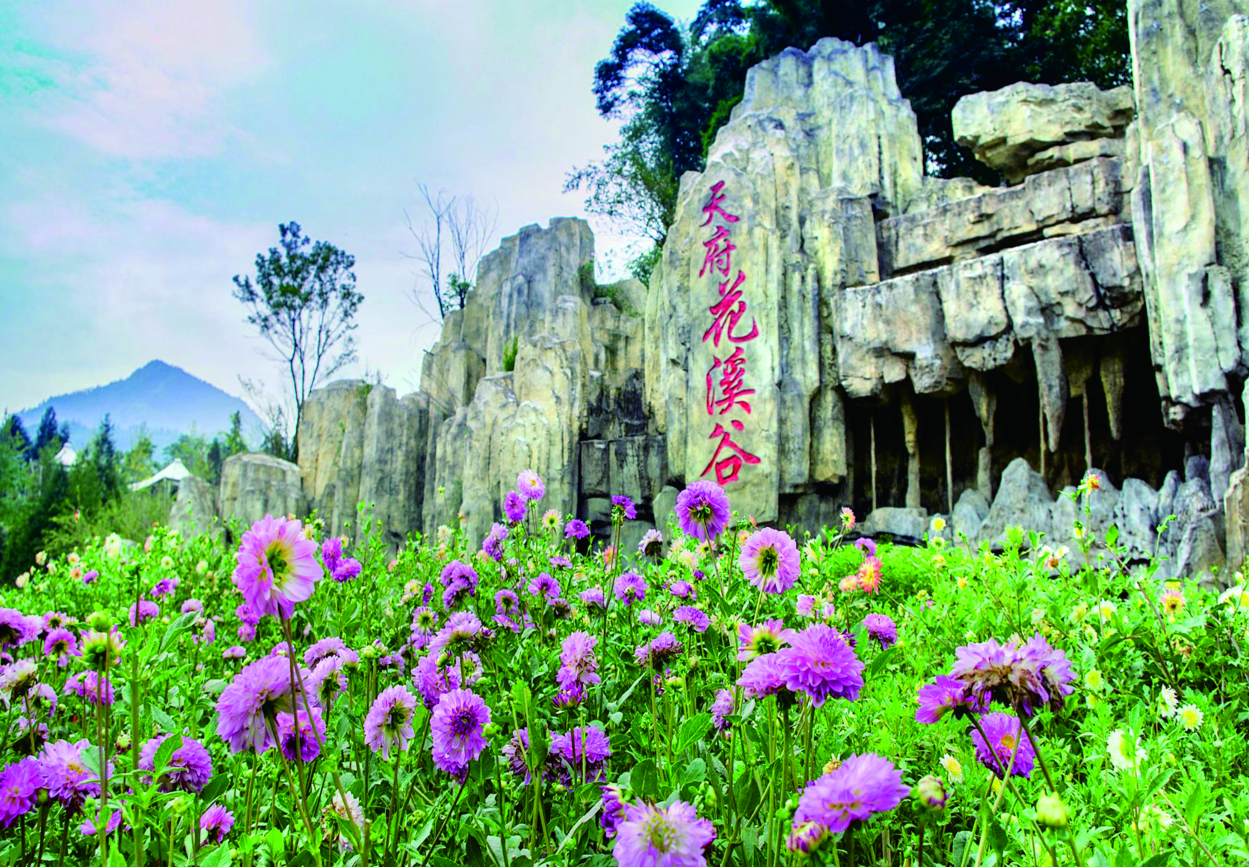 夢里桃花源 花重錦官城——天府花溪谷
